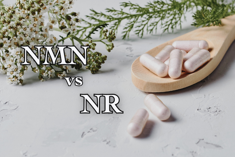 NMN vs NR: What Are the Differences as NAD+ Precursor?