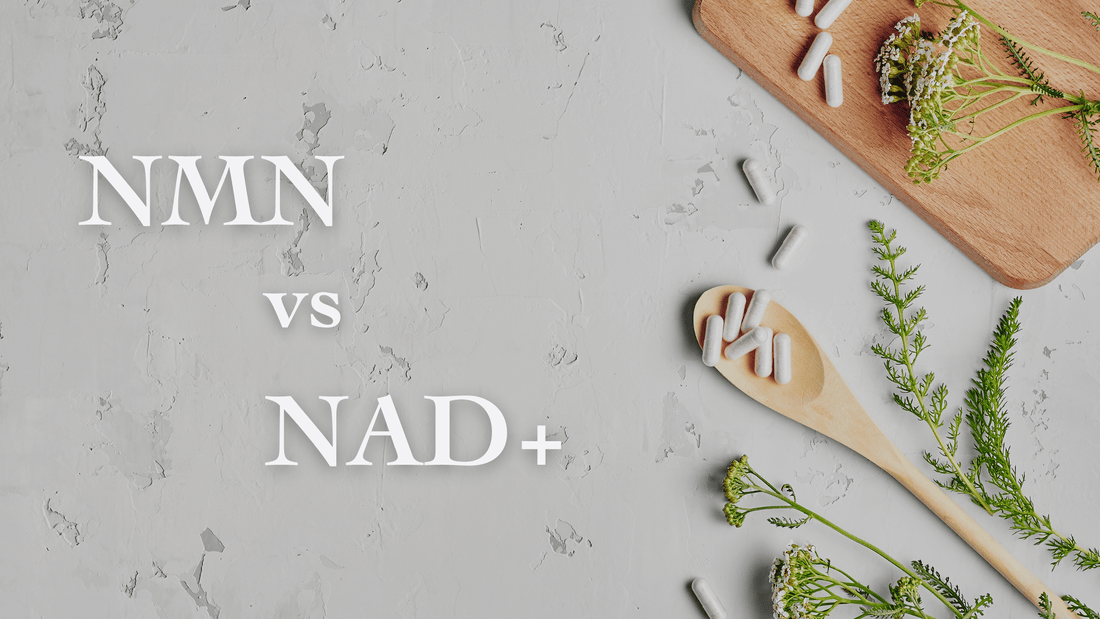 NMN vs NAD+ thumbnail